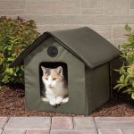 cat house